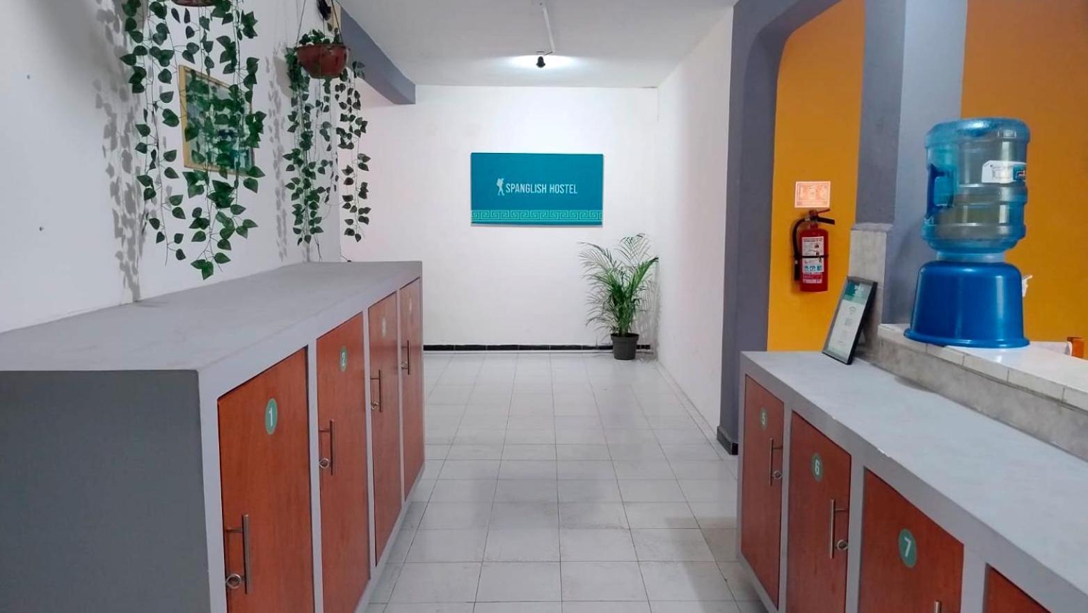 Spanglish Hostel فالادوليد المظهر الخارجي الصورة