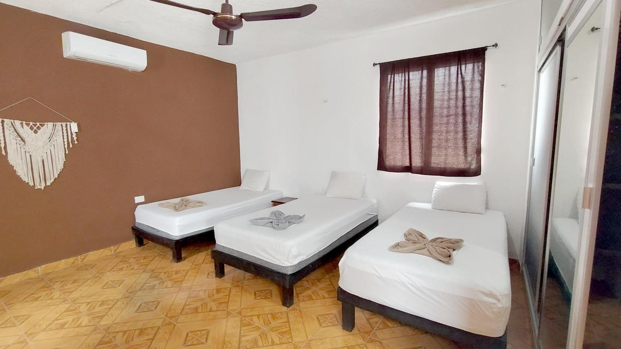Spanglish Hostel فالادوليد المظهر الخارجي الصورة